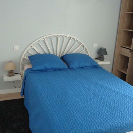 Appartement Independant Le Panassa, Centre Ville, Garage Prive Saint-Etienne  Ngoại thất bức ảnh