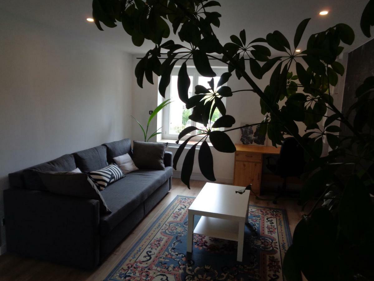 Appartement Independant Le Panassa, Centre Ville, Garage Prive Saint-Etienne  Ngoại thất bức ảnh